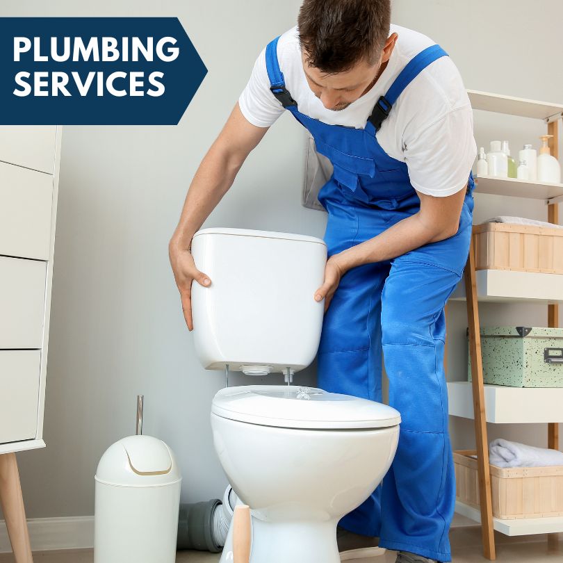 Plumbing Company in Walkerville, MI